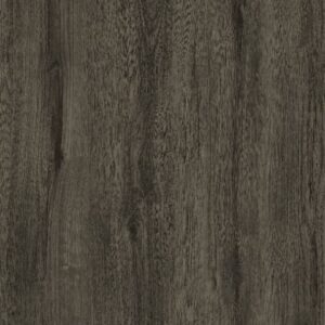 VA 2007 Sawtooth Oak - Image 1