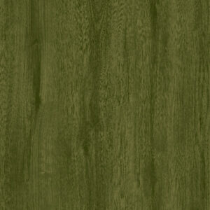 VA 2009 Spring Wood