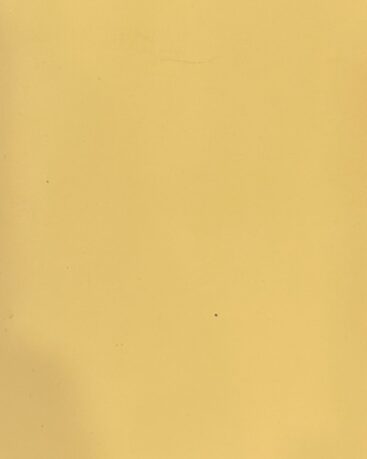 VA6006 – Velvet Tacao – Cladding.lk