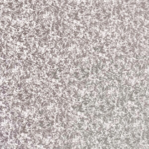 VA7003 - Neptune - Image 1
