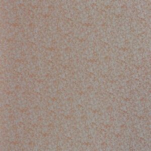 VA7005 - Mars - Image 1